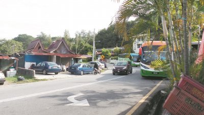 旅巴在路旁停放游客，造成汉丽宝路变得更窄，阻碍交通，也威胁道路使用者的安全。