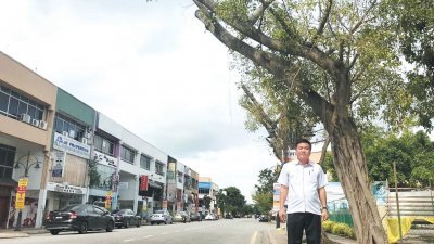 郑国球巡视马六甲拉也修剪树木后的情况，发现整个大街都显得比较光亮。