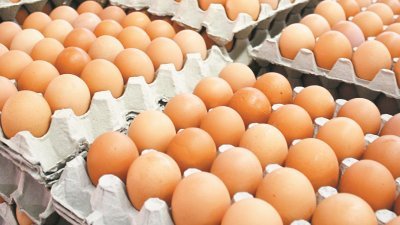 鸡蛋鸡蛋价格近月猛涨，柔州受访咖啡店及面包店业者表示，自行吸纳成本，暂不会把涨幅转嫁予消费者身上。
