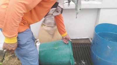 威省市政局人员发现居所外遍布积水，这些积水都是黑斑蚊滋生的温床。