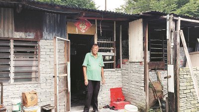一名已迁居新加坡的邻居同情冯晚的处境，特地出钱为他搭建了小砖屋，好让他有个安全的栖身之所。