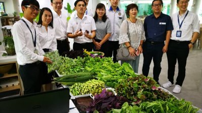 吴俊益（左4）率领选区内华小校长及媒体拜访著重人文企业的伟特机构，这些蔬菜都是从自家农场的成果。