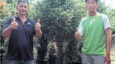 卢康成（左）与儿子卢镓琪一同打理所经营的园艺生意。