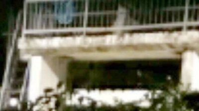 两名在安邦惹惹大水闸钓虾的男子，在水闸栏杆处拍到长发披胸的白袍女郎。至于这名女郎是否真的是“女鬼”，抑或是遭人捏造的照片，引起网民热议。