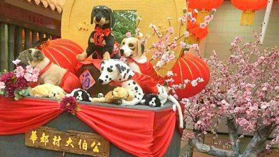 华都村村民精心设计“十犬十美”美景，喜迎戊戌年。