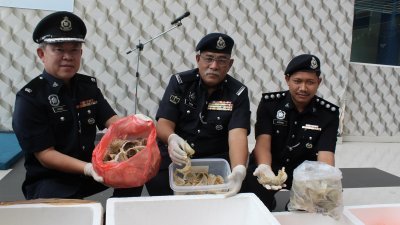 警方在收购商家中起获大批毛燕，同时也不排除该案涉及不法集团在背后操纵。