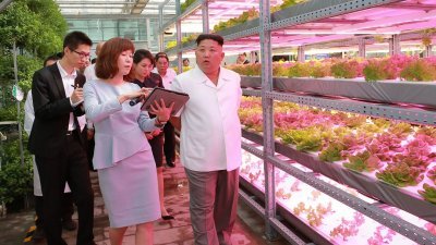朝鲜官媒周四发布最高领导人金正恩在周三访华期间，参观中国农业科学院科学与科技创新研究所的照片。