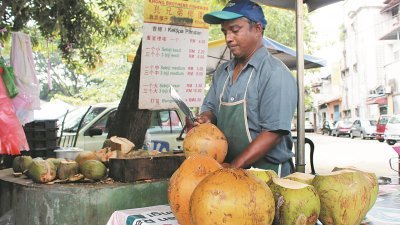 香椰市场需求量高，面对灵芝病困绕的油棕园小园主若无法寻获初代马达椰苗，不妨考虑改种香椰。