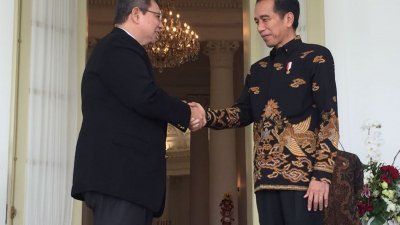 赛夫丁（左）礼貌拜会印尼总统佐科，两人互相握手寒暄。
