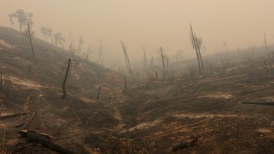 “卡尔”大火将加州艾戈的山区，烧成一光秃秃。