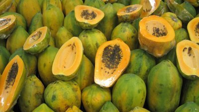 受炎热气候影响，木瓜歉收，如今市面上木瓜货源短缺，导致价格飙涨了80至100%。
