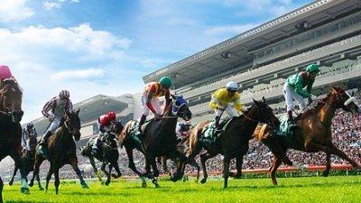 美国赌神香港赌马赢走296亿。图为香港赛马。