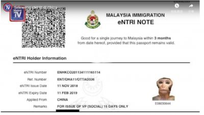 日前，本地一家马来媒体为证明网上免签证登记系统出现低级漏洞，故刻意使用猴子头像和假资料提出申请，不料却在付款后的5分钟便通过审核，结果令人咋舌。