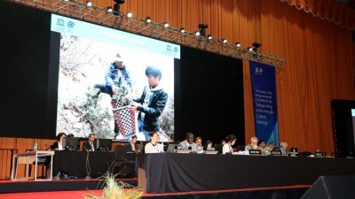 教科文组织保护非物质文化遗产政府间委员会会议现场，播出关于“藏医药浴法”的视频介绍。