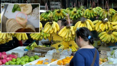 尽管“香蕉藏针”的传言周三在槟城传得闹哄哄，但市场上香蕉的卖气并不受影响，民众仍如常购买香蕉。（摄影：蔡开国）