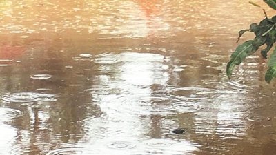 雪州气象局预测未来3个月的降雨量将提高，111个水灾黑区的居民受促作好防范措施，应对可能发生的闪电水灾，图为10月12日在巴生督慕达发生的水灾。