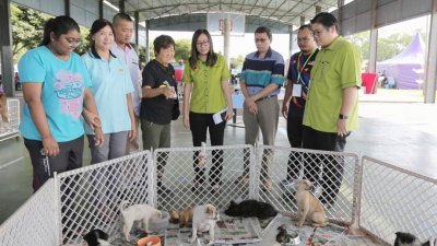 王育璇（左5）鼓励民众领养宠物，威省市政局举办的狗猫结扎及关爱动物活动，有可 爱的小狗供爱狗人士挑选领养。左3起为杜建国及陈佳珍。