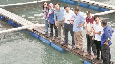 沈志勤（左4）巡视槟城木蔻山附近的海上水产养殖业，鼓励业者积极发展此行业，以弥补国内海产量逐渐减少的问题。