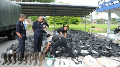 米奥（左2）亲自检查警方所起获的哥冬叶，共1025公斤的哥冬叶分别装置在205包塑胶袋内。