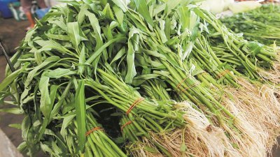 雨季影响平芭菜产量，导致菜心、芫菜及蕹菜本周起涨价约40%。