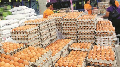 由于外销香港和沙巴，加上天气影响鸡蛋产量，隆雪区的鸡蛋批发价，过去一个月飙涨1令吉20仙。（摄影：张真甄）