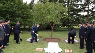 韩国总统文在寅（中）周三出席植树仪式，但纪念碑上刻错日期。