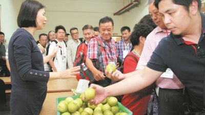 参访团成员予高雄区农业改良场参访时，有机会品尝到台湾 改良的特产水果—蜜枣。