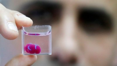 以色列特拉维夫大学的研究人员，展示具有人体组织和血管的3D打印人造心脏。这项研究堪称全球首个和重大医学突破，可望促进心脏移植的可能。