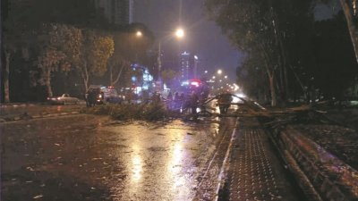 哥打叻沙玛纳其中一棵大树倒下，阻碍当地的交通情况。