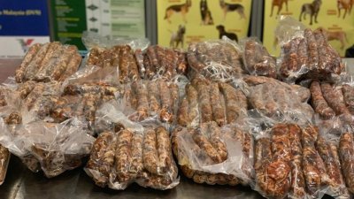 为了预防非洲猪瘟入侵，大马检疫及检验服务局与关税局在吉隆坡国际机场及第二国际机场展开的检查行动中，起获2宗共55公斤来自中国的猪肉产品。