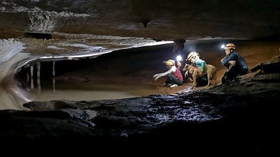 林泽昇在怡保的山洞内首次探测就挖掘到不少拥有过万年历史的动物化石。