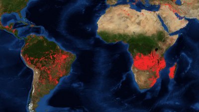 根据美国太空总署（NASA）发布的卫星图像可看出，从加蓬到安哥拉一带的中非地区的野火，明显比亚马逊更为密集、广泛。