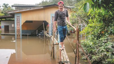 巴西马灾黎取用木棍和竹子搭建一座简陋的小桥，以方便出入已被洪水淹没的住家。