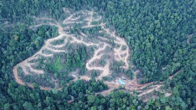 大马自然环境之友日前在社交媒体发布沙容升旗山森林保护区山顶上有20公顷森林被伐光照片，引起哗然。