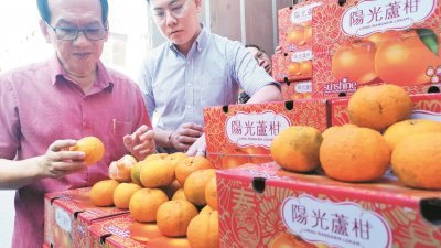 余锦明（左起）与市场营销传媒经理黄源发检查本次入口芦柑的品质。
