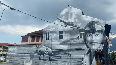 全马最大户外3D壁画位于太平，描述美国第一位女飞行员阿梅莉亚，于82年前在太平后廊德卡飞机场降陆添油事迹。