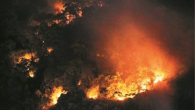面积超过2.4公顷的华玲山林火，消拯队至今还未查出失火原因，但不排除登山活动引起火患。