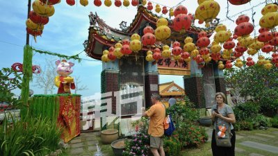 极乐寺的猪造型彩灯摆设品，吸引游客驻足观赏。（摄影：蔡开国）