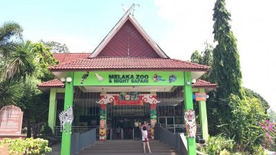 马六甲动物园自去年杪被汉都亚再也市议会接管后，重新整顿，并聘请专业人士管理。