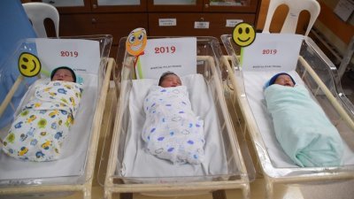 槟城中央医院迎来3名元旦宝宝，在婴儿房并列睡著的模样非常可爱。