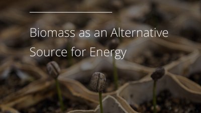 生物质将成为代替化石燃料的替代能源。
