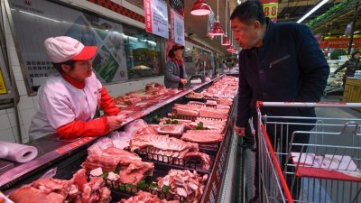 为免非洲猪瘟疫情可能影响春节期间的猪肉供应，中国当局在市场投放9600吨中央储备猪肉，以增加市场供应。这是消费者在超市选购猪肉。