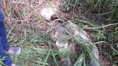 警方在草丛里发现一具已腐化的骸骨，初步调查及现场搜出的菜刀，相信死者遭到他杀。（警方提供照片）