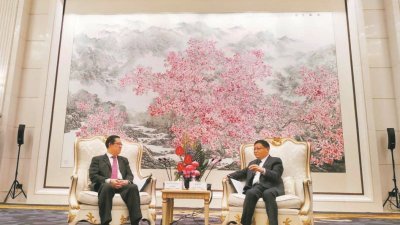 林冠英（左）与深圳市委书记王伟中进行会谈。