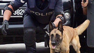 图为警犬部队成员，正带领一头警犬进行侦查工作。