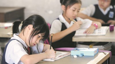 槟州董联会担忧若落实复级班，将会剥削微型学校学生的权益。