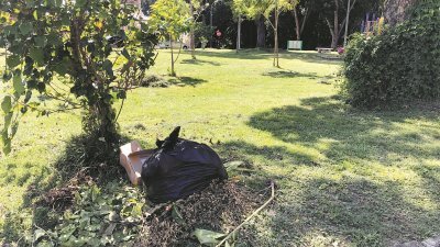 记者于周五上午前往事发地点勘察后发现仍有一包使用黑色塑胶袋包住的垃圾，被扔在公园的角落。