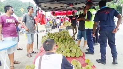 怡保市政厅执法人员日前展开针对路边榴梿小贩的取缔行动，引起网民的热议。