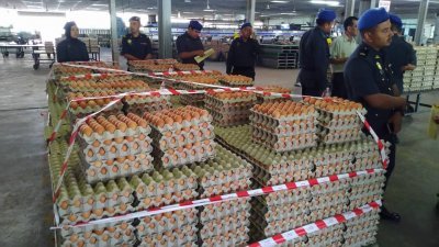 疑涉嫌牟取暴利，鸡蛋农场3万颗价值1万令吉的A级鸡蛋当场被查封。