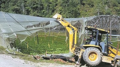 彭亨州政府采取缔行动，拆除金马仑51英亩菜园地。图为当局之前拆除非法菜园的画面。